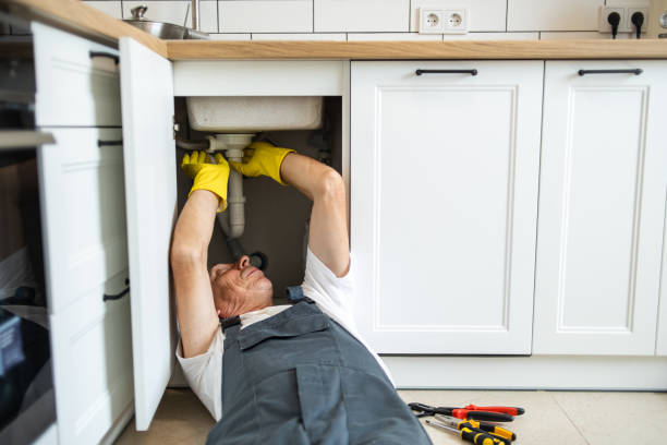 Best Plumbing System Maintenance  in Greenbriar, FL